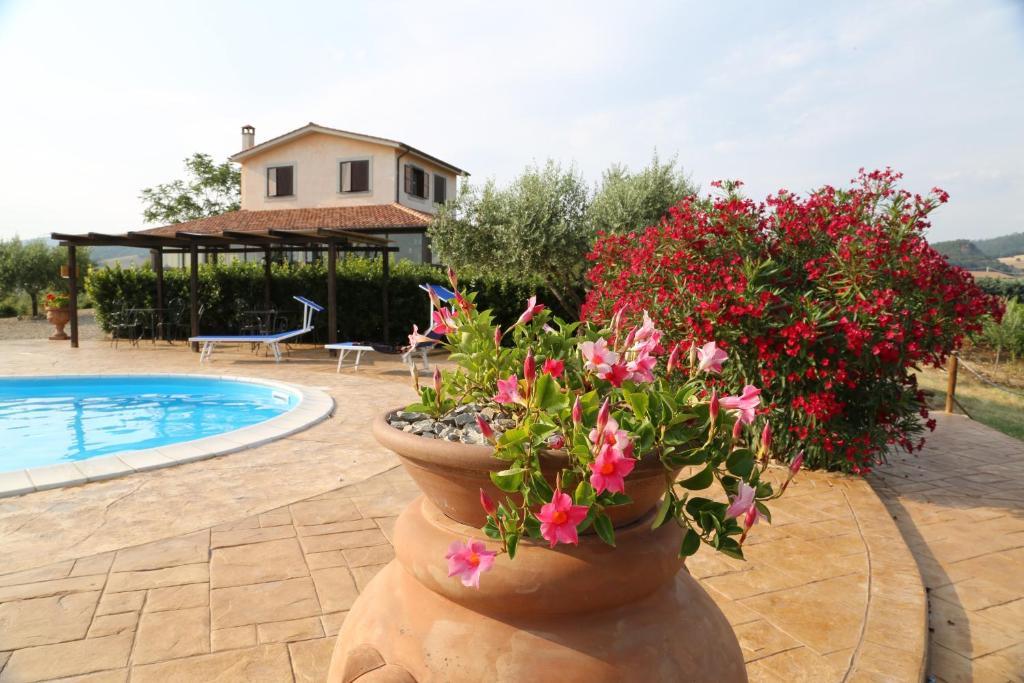 Agriturismo Casale Sasso Cerveteri Exterior photo