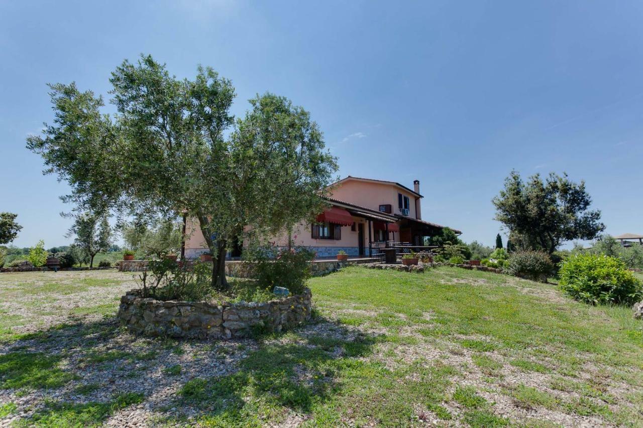 Agriturismo Casale Sasso Cerveteri Exterior photo